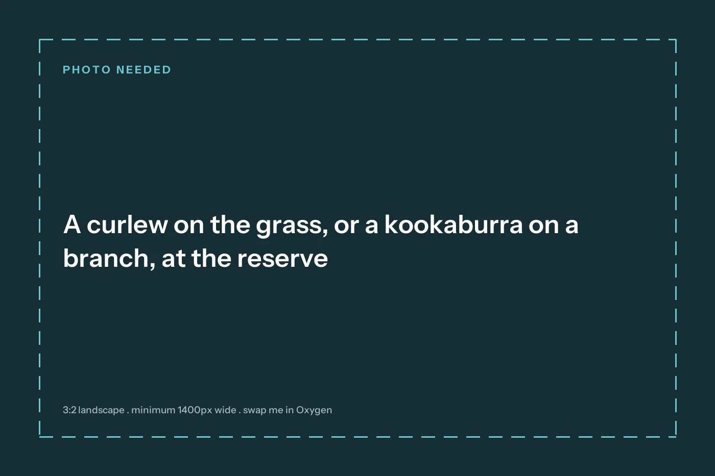 Photograph needed: A curlew on the grass, or a kookaburra on a branch, at the reserve
