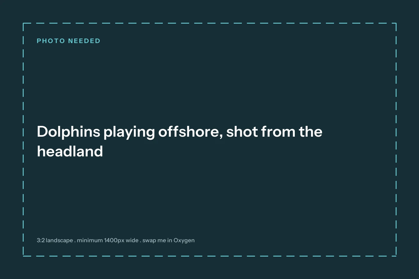 Photograph needed: Dolphins playing offshore, shot from the headland