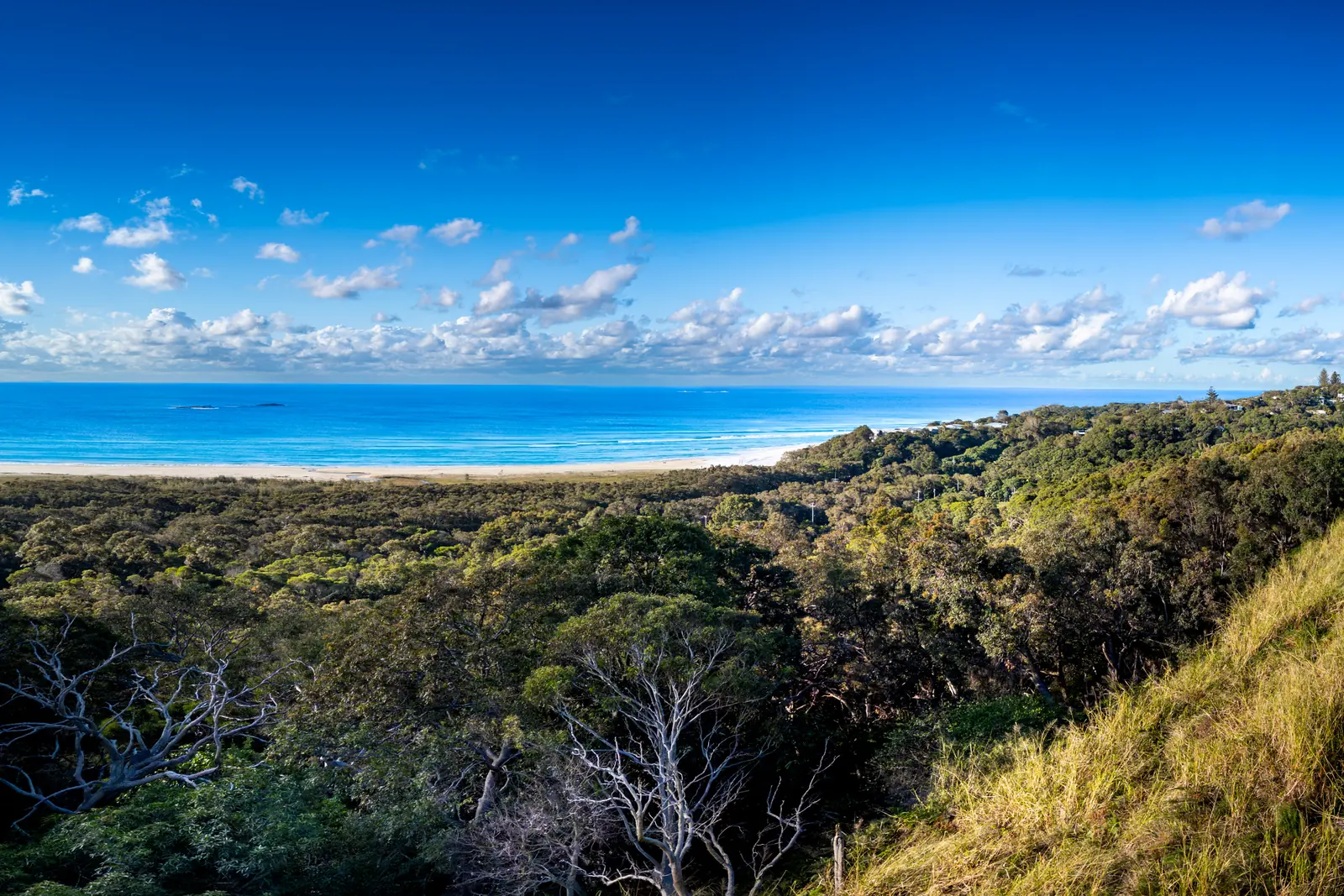 Panorama over coastal bushland at Point Lookout with the beach and the ocean to the west